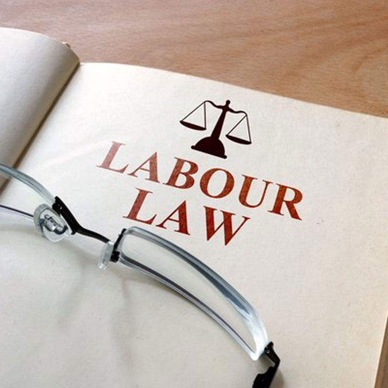 Labour & Employment Lawyer in Delhi