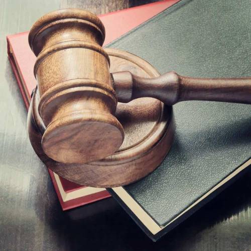 Appeal & Revision Lawyer in Delhi