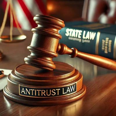 Top Competition and Antitrust Lawyer in Delhi