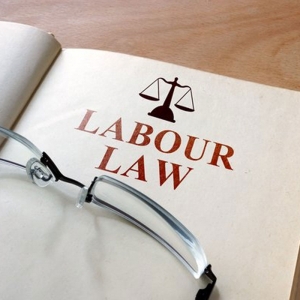 Labour & Employment Lawyer in Delhi